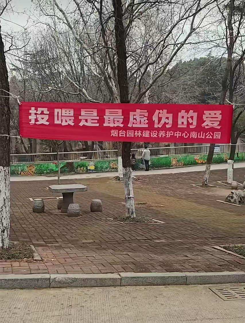 世界杯实时赔率查询-“投喂是最虚伪的爱!”烟台一动物园标语被指豪横,园方回应“卖投喂食品强制爱”质疑
